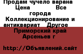 Продам чучело варана. › Цена ­ 15 000 - Все города Коллекционирование и антиквариат » Другое   . Приморский край,Арсеньев г.